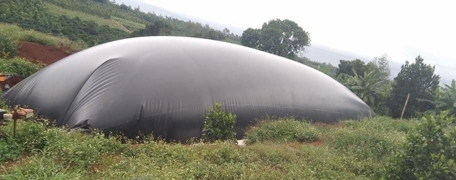Lợi ích của bạt biogas