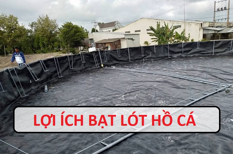 Lợi ích của bạt lót hồ cá, tôm