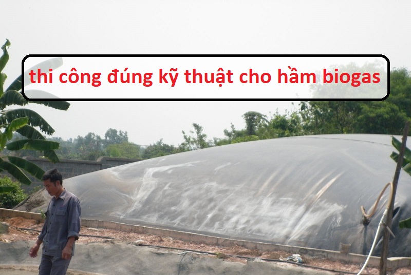 thi công đúng kỹ thuật cho hầm biogas