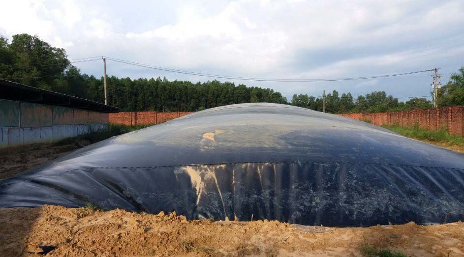 Vai trò của hầm biogas trong xử lý chất thải chăn n