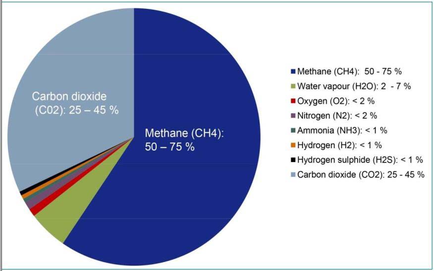 Thành phần khí biogas là gì?
