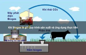Khí Biogas là gì? Quy trình sản xuất và ứng dụng thực tiễn