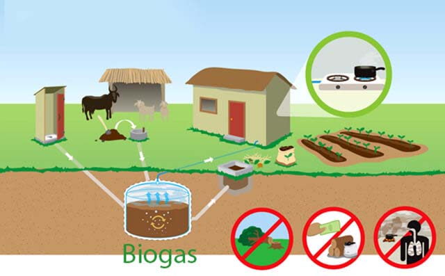 Vai trò của khí biogas là gì?
