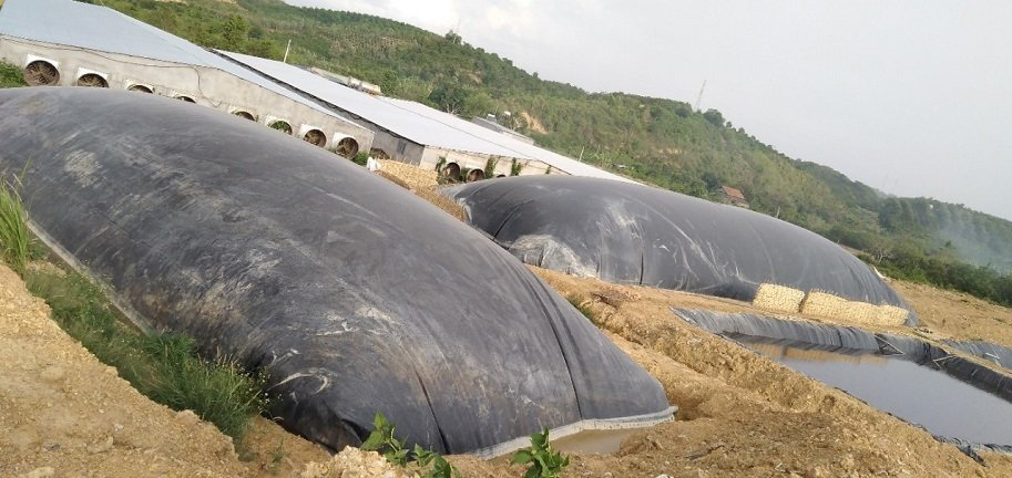 xử lý nước thải chăn nuôi heo bằng hầm biogas
