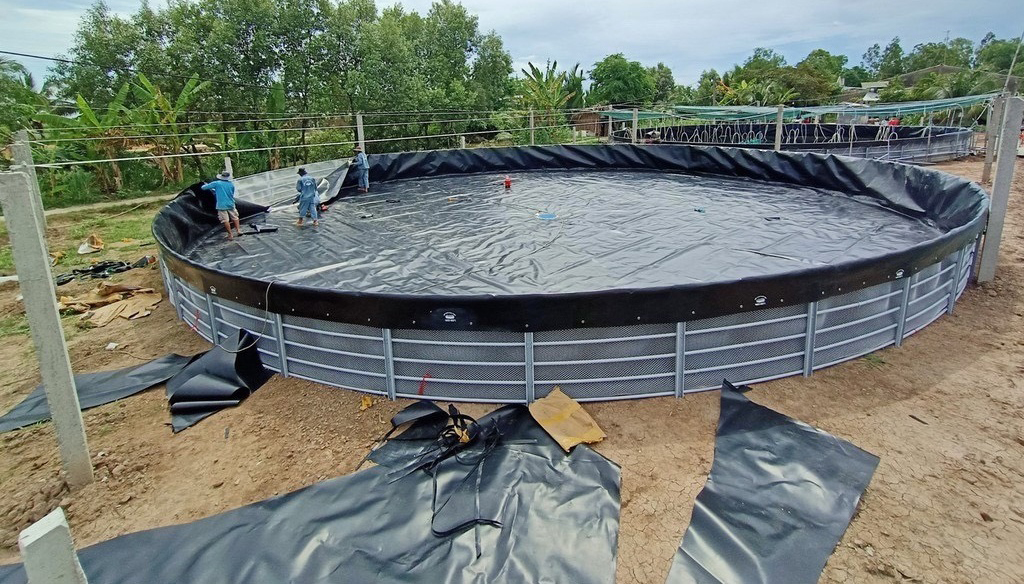 Tổng hợp quy trình và kỹ thuật nuôi ếch bằng bể bạt hdpe