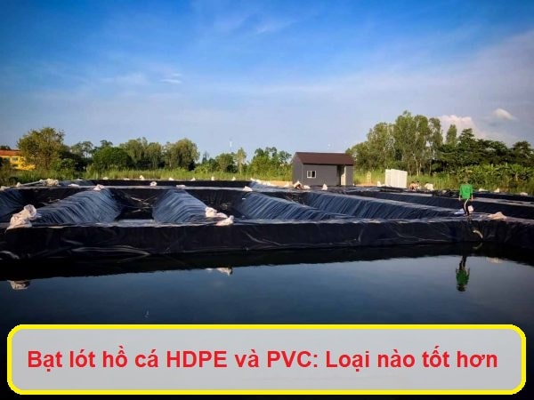 Bạt lót hồ cá HDPE và PVC: Loại nào tốt hơn