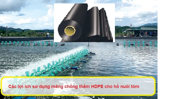 Các lợi ích sử dụng màng chống thấm HDPE cho hồ nuôi tôm