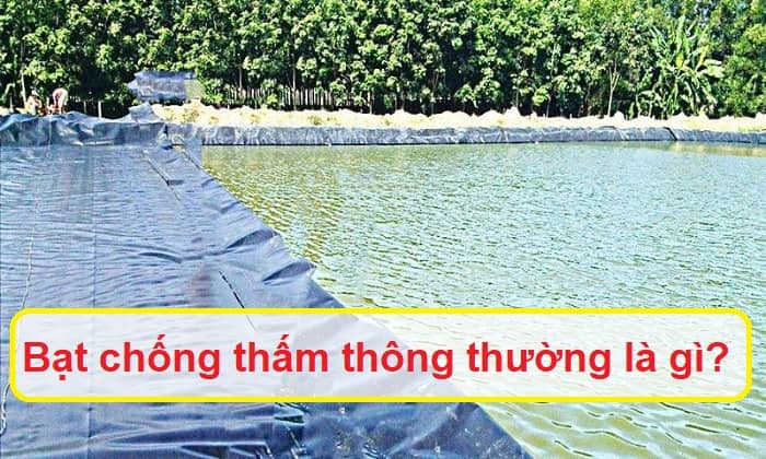 Bạt chống thấm thông thường là gì?