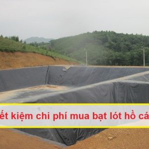 Mẹo tiết kiệm chi phí mua bạt lót hồ cá HDPE