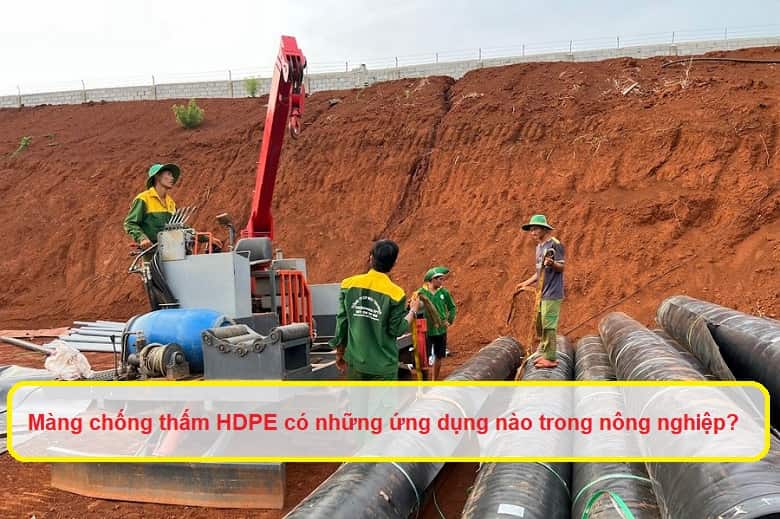Màng chống thấm HDPE có những ứng dụng nào trong nông nghiệp?