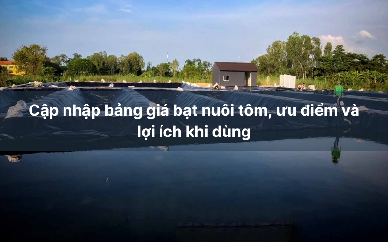 Cập nhập bảng giá bạt nuôi tôm, ưu điểm và lợi ích khi dùng