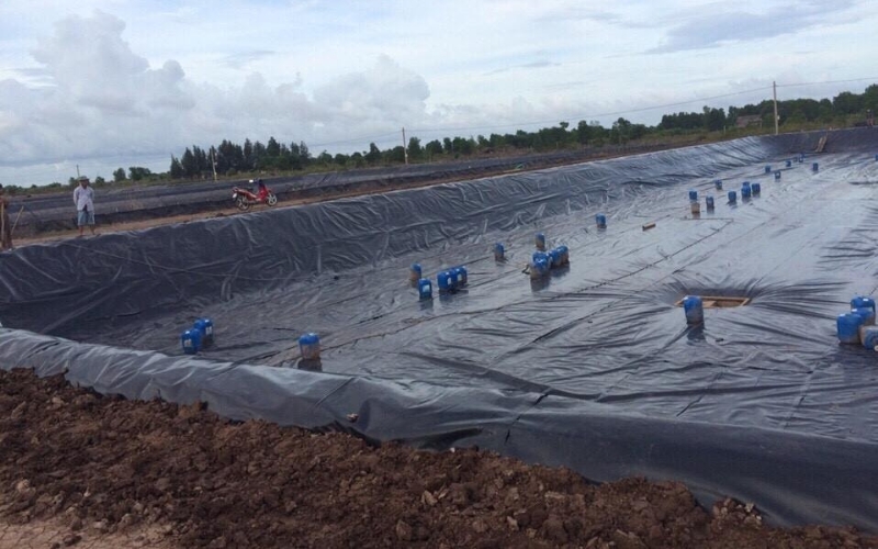 Sử dụng bạt HDPE lót hồ nuôi tôm