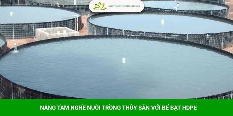 Kỹ thuật nuôi và quản lý chăm sóc cá bống tượng
