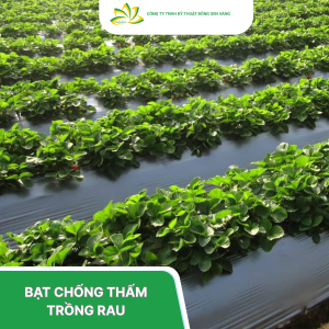 bạt lót trồng rau