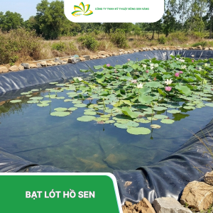 Bạt lót hồ sen